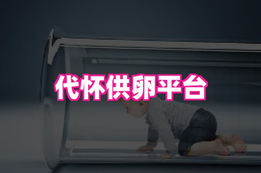 821孕网 1