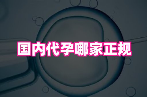 821孕网 4